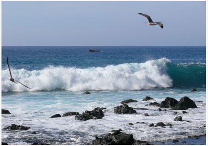 La Gomera: hét eiland voor de natuurliefhebber