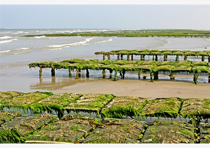 Landingsstranden D-day in Normandië bezoeken