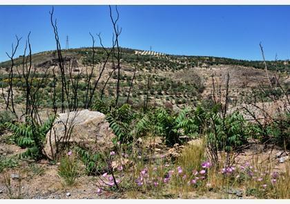 Las Alpujarras: natuur en witte dorpen