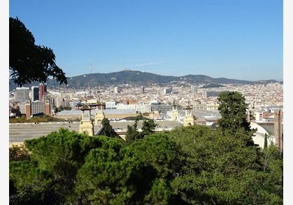 Barcelona: ontdek de unieke bezienswaardigheden van Montjuïc