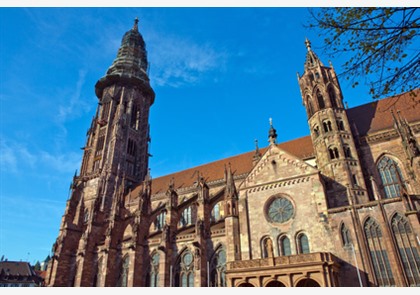 Freiburg: Münsterplatz en Münsterkerk 