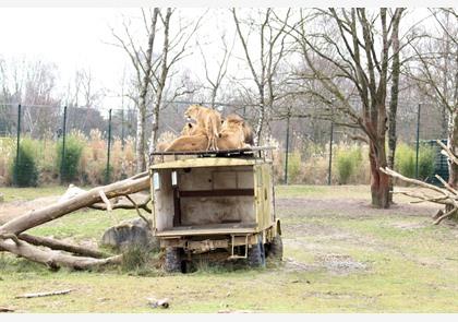 Zuidoost Nederland: ontdek Noord-Brabant