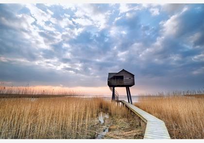 Nederland: op verkenning in het noorden