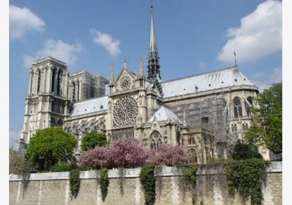 Notre-Dame: wereldberoemde kathedraal aan de Seine in brand