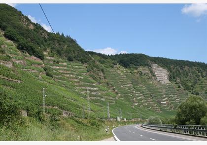 Panoramaroute langs de Moezel