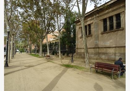 Parc de la Ciutadella, populaire groene plek in Barcelona