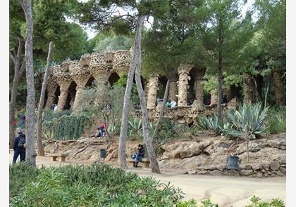 Park Güell: modernisme in Barcelona in een groen kleedje