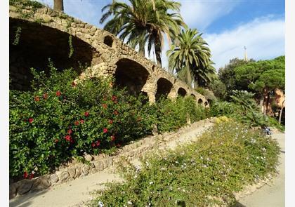 Park Güell: modernisme in Barcelona in een groen kleedje