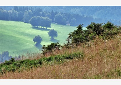 Beklim de Petit Ballon in Elzas-Vogezen