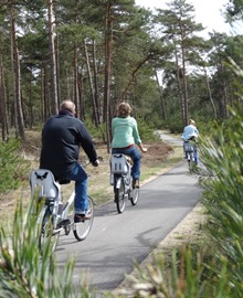 Gelderland: wandel- en fietsroutes in steden en natuur