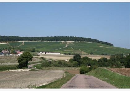 Aube: autoroute met champagne 