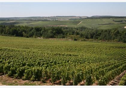 Aube: autoroute met champagne 