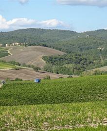 Reisgids Rondreis Toscane + Umbrië charmeadresjes