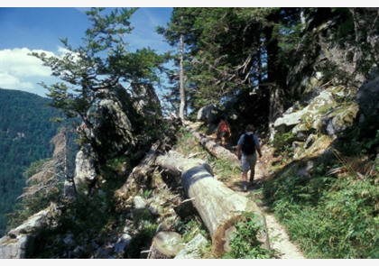 Route des Crêtes: schitterende verbindingsweg