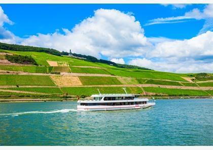 Rüdesheim am Rhein, trekpleister in de Rheingau