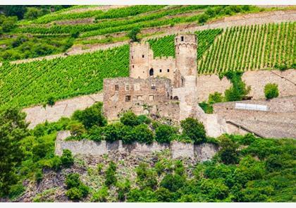 Rüdesheim am Rhein, trekpleister in de Rheingau