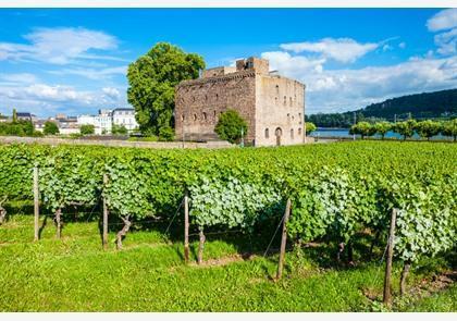 Rüdesheim am Rhein, trekpleister in de Rheingau