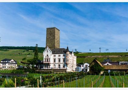 Rüdesheim am Rhein, trekpleister in de Rheingau