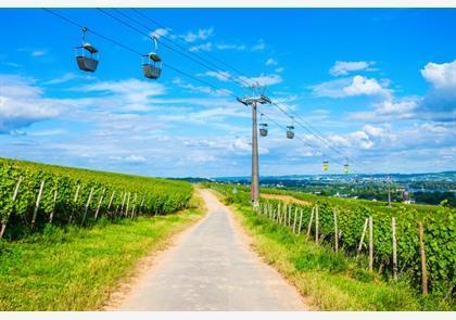 Rüdesheim am Rhein, trekpleister in de Rheingau