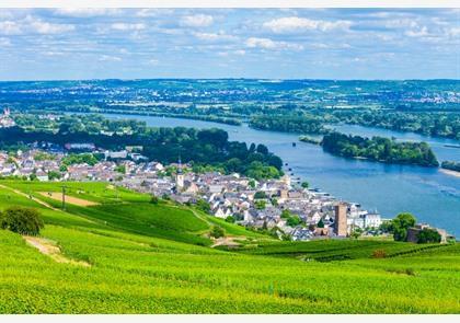 Rüdesheim am Rhein, trekpleister in de Rheingau