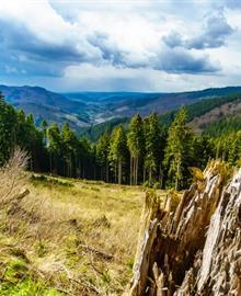 Reisgids Sauerland