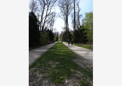 Bezoek Schloss Benrath tijdens je citytrip Düsseldorf