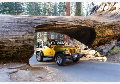 Verken Sequoia National Park aan de USA Westkust