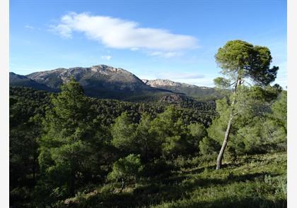 Natuurpark Sierra Espuña in regio Murcia