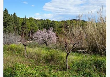 Natuurpark Sierra Espuña in regio Murcia