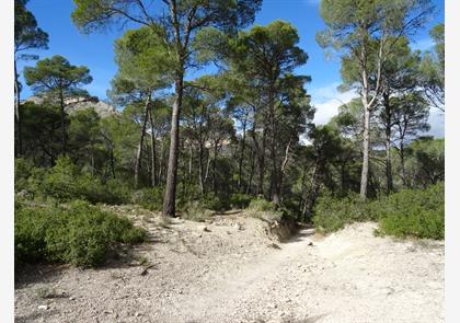 Natuurpark Sierra Espuña in regio Murcia