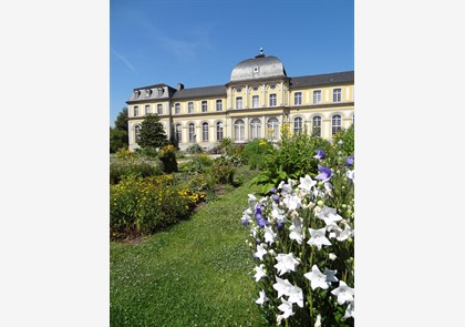 Stadswandeling Bonn