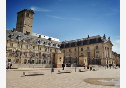 Stadswandeling Dijon