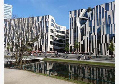 Stadswandeling Düsseldorf: Parel van verborgen plekjes