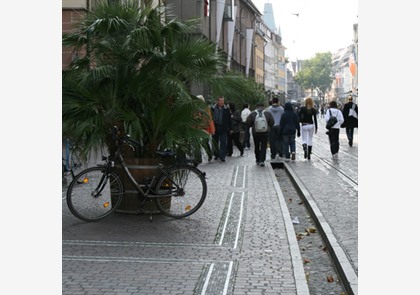 Stadswandeling Freiburg