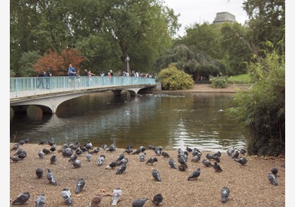 Maak een stadswandeling door Londen Westminster 