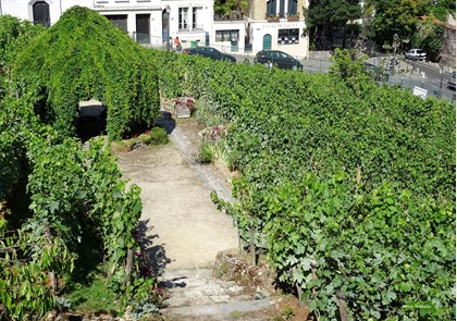 Stadswandeling Parijs Montmartre