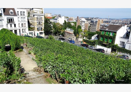 Stadswandeling Parijs Montmartre