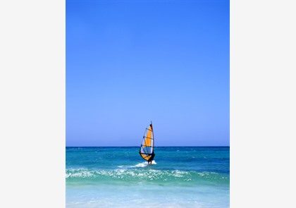 Fuerteventura is de ideale plek voor strandvakanties