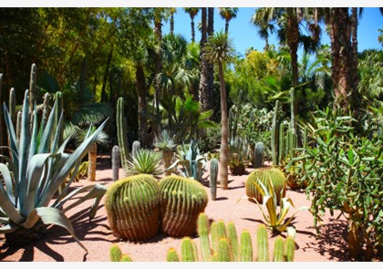 Marrakech: fraaie tuinen en parken
