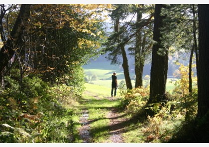 Vakantie Nordlicher, Mittlerer of Südlicher Schwarzwald