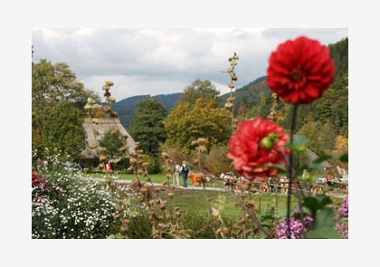 Vakantie Nordlicher, Mittlerer of Südlicher Schwarzwald