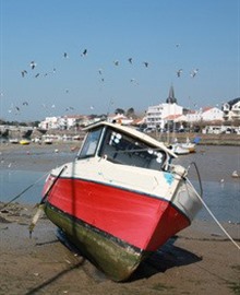 Reisgids Vendée