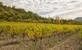 Drôme Provençale: wijnen