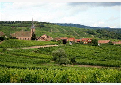 Elzas wijnroute - Elzasser Route des Vins