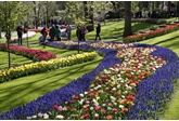 Keukenhof 2022: 'Flower Classics'