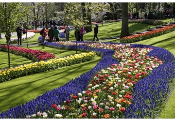 Keukenhof 2022: 'Flower Classics'