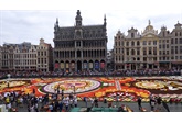 Bloementapijt 2018 in Brussel