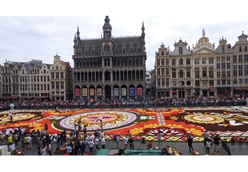 Bloementapijt 2018 in Brussel