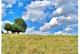 Wandelen met het Groen Wandelboek