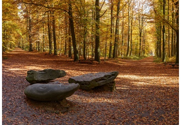 Tervuren toont zich in herfstkleuren